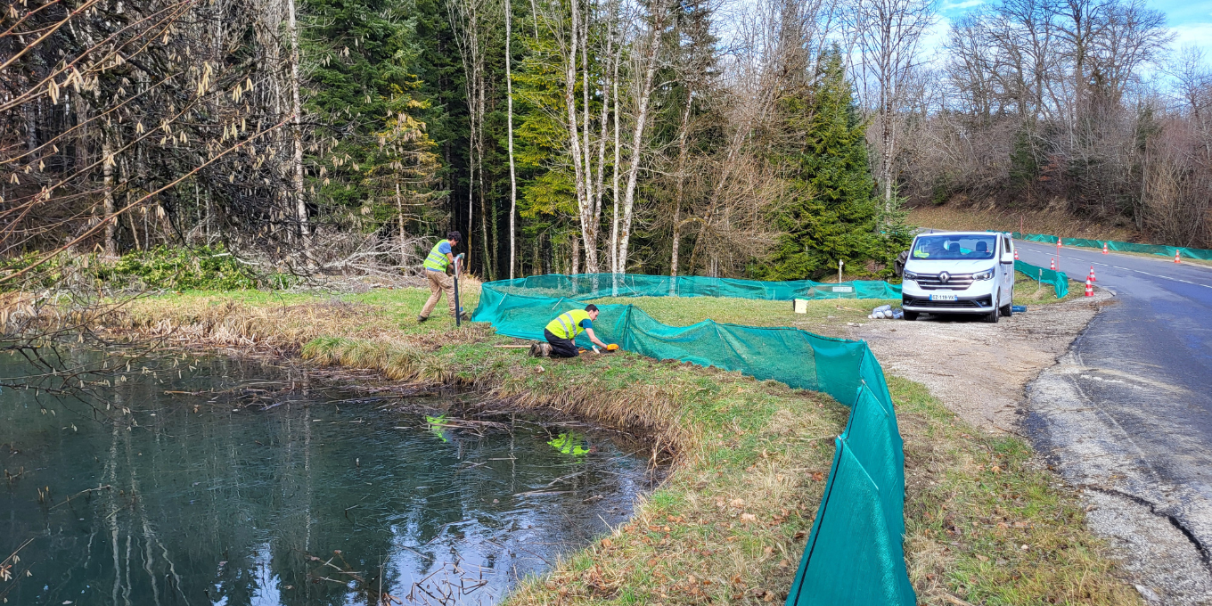 Démontage du dispositif de sauvetage routier des amphibiens à Saules